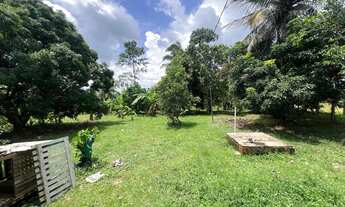 Imagem 5: Chácara Chácara com venda por R$180.000