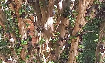 Imagem 3: 14. Casa com 2 dormitórios