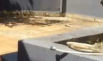 Imagem 3: Apartamento à venda em alemães, piracicaba 3 quartos 220m²