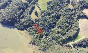 Imagem 2: Chácara em Araucária com nascente, represa e natureza exuberante Aceita imóvel