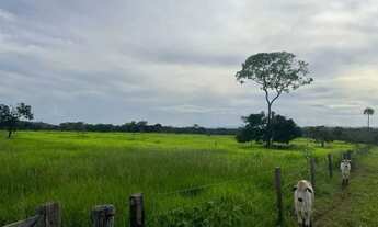 Imagem 3: FAZENDA EM CAMPOS BELOS - GO: Uma oportunidade única!