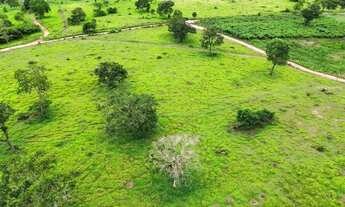 Imagem: Chácara 20.000m², Energia, Terra de Cultura