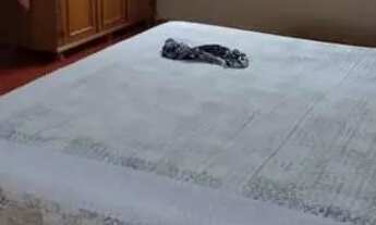 Imagem 7: Vendo ou troco chácara na Ceilândia