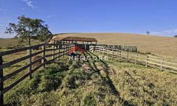 Imagem 3: Sítio em Rua Francisco Barreto - Centro - Capão Bonito/SP
