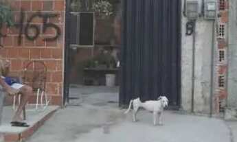 Imagem 2: Casa duplex Casa com 4 dormitórios