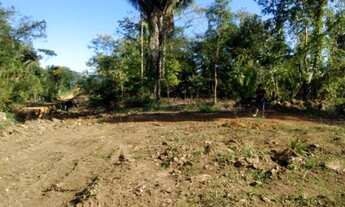 Imagem 4: Chácara em condomínio no alagado Jamari em Ariquemes