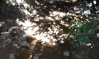 Imagem 4: Lindo sitio de 1.540 metros a 60 Km de BH * WhtsAPP Guilherme