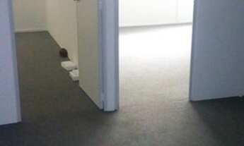 Imagem 6: Rio de Janeiro - Conjunto Comercial/Sala - Centro