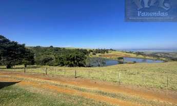 Imagem 4: Fazenda na Região de Brotas 110 alqs