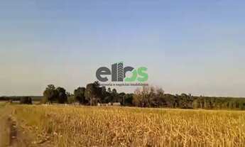 Imagem 2: Fazenda Dupla Aptidão - AGRICULTURA (LAVOURA/GRÃOS/SOJA) e PECUÁRIA, 1.400 hectares, à ven