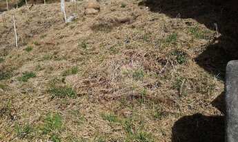 Imagem 5: Terreno à venda, 357 m² por R$ 110.000,00 - Conselheiro Paulino - Nova Friburgo/RJ