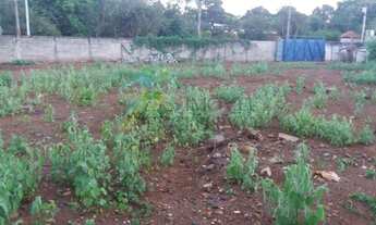 Imagem 3: Lote/Terreno - Ribeirão Preto