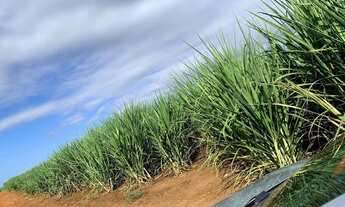 Imagem: SITIO NO BAIRRO SANTANA - PIRACICABA-SP