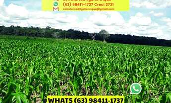 Imagem: Fazenda em Cristalândia no Tocantins