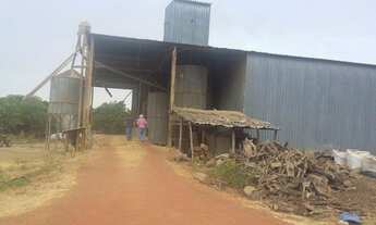 Imagem 2: 360 Alq. Dueré-TO. ( c/ Lavoura Irrigada + Sequeiro