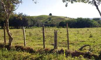 Imagem 7: BORDA DA MATA - Terreno Padrão - Estação