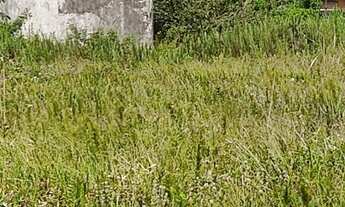 Imagem 5: Terreno pé na areia bem grande, muito próximo a praia