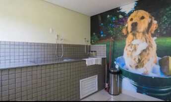 Imagem 7: You, Saúde Vila das Mercês