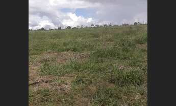 Imagem 7: Chacara São Gabriel go