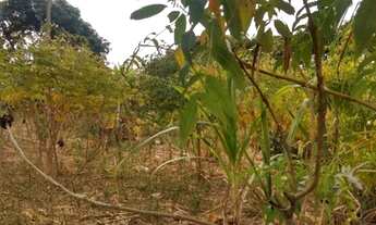 Imagem 2: TERRENO RESIDENCIAL em CAMPO LIMPO PAULISTA - SP, VILA CHACRINHA (BOTUJURU
