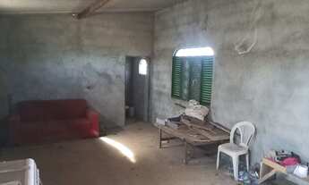 Imagem 7: Alugo Chácara Formada 7.000 m2 DF 290 Ponte Alta de Cima Gama DF