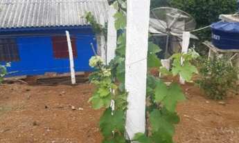 Imagem 3: Vende-se terreno na Beira do Alagado em Bituruna PR