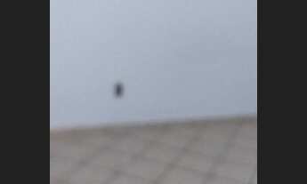 Imagem 4: RAPAZ PARA DIVISÃO DE APTO