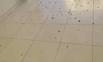 Imagem 7: Casa térrea 2 dormitórios 2 vagas quintal quintal com árvores aceita pet