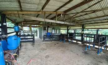 Imagem 3: Vendo chácara de 4,5 alqueires bela vista