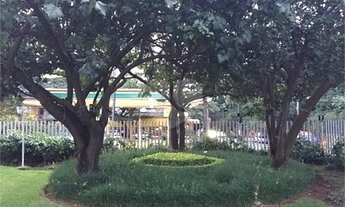 Imagem 5: Lindo Duplex, mobiliado, área nobre, andar alto, amplo Hall, janelas grandes, 2 terraços