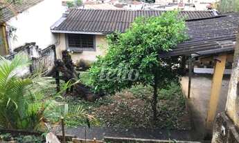 Imagem 4: São Paulo - Terreno Padrão - Tremembé