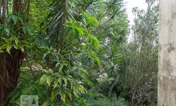 Imagem 7: Casa à Venda - Nova Petrópolis, 5 Quartos, 280 m2