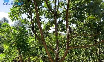 Imagem 5: Casa com 2 dormitórios para alugar, 70 m² por R$ 1.500,00/mês - Jordanésia - Cajamar/SP