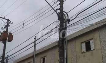 Imagem 3: São Paulo - Casa Padrão - Cursino