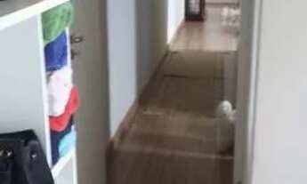 Imagem 2: TE Aluga/Apartamento/48m/2 dorm/Mobiliado/Bosque dos Eucaliptos/São jose dos Campos