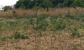 Imagem 7: Sítio em Rosário Oeste - MT