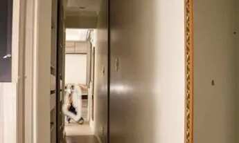 Imagem 3: Apartamento para venda tem 85 metros quadrados com 3 quartos em Piraporinha - Diadema - SP