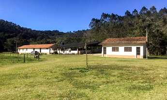 Imagem 6: FAZENDA PRODUTIVA, localizada em Capão Bonito e Guapiara/SP