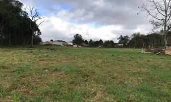 Imagem 6: Alugo excelente área comercial plana no Rio Pequeno com 11.800 m2