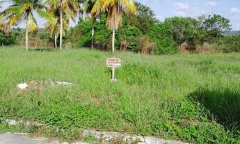 Imagem 2: Terra Norte Itapissuma