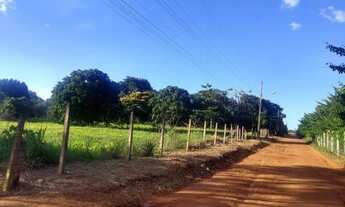 Imagem 2: Vende-se Excelente Chácara