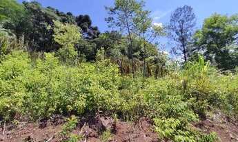 Imagem 6: Sítio na Linha São João em Canela!