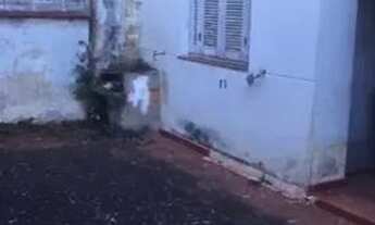 Imagem 6: CASA ASSOBRADADA - PLANALTO PAULISTA - SP