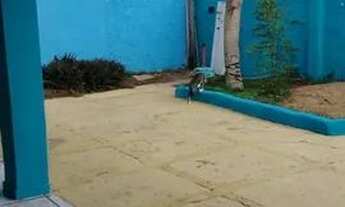 Imagem 4: CASA PRA ALUGAR Casa com 5 dormitórios