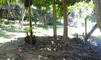 Imagem 2: Troco Casa km 13 Manoel Urbano 10x24 vendo troco!