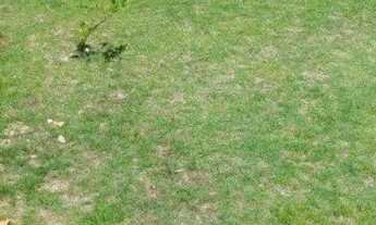 Imagem 2: CASA NO MAGUARI Casa com 2 dormitórios