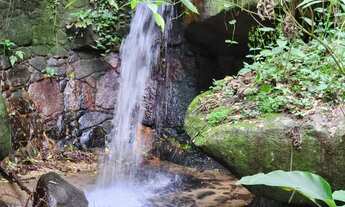 Imagem 5: Lote/Terreno para venda possui 1450 metros quadrados desmembravéi em Itanhangá - Rio de Ja