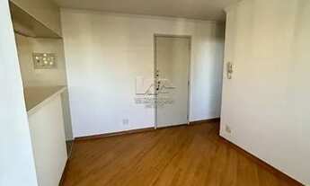 Imagem 5: SãO PAULO - Padrão - Cerqueira César