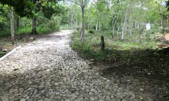 Imagem 7: Terreno em Mulungu
