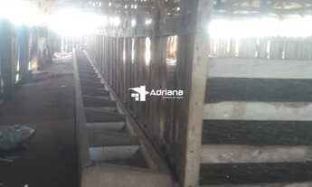 Imagem 2: Fazenda/Sítio/Chácara para venda tem 85000 metros quadrados com 2 quartos em Centro - Terr